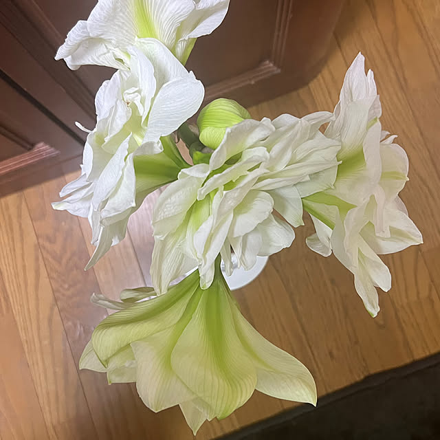 nannoさんの部屋