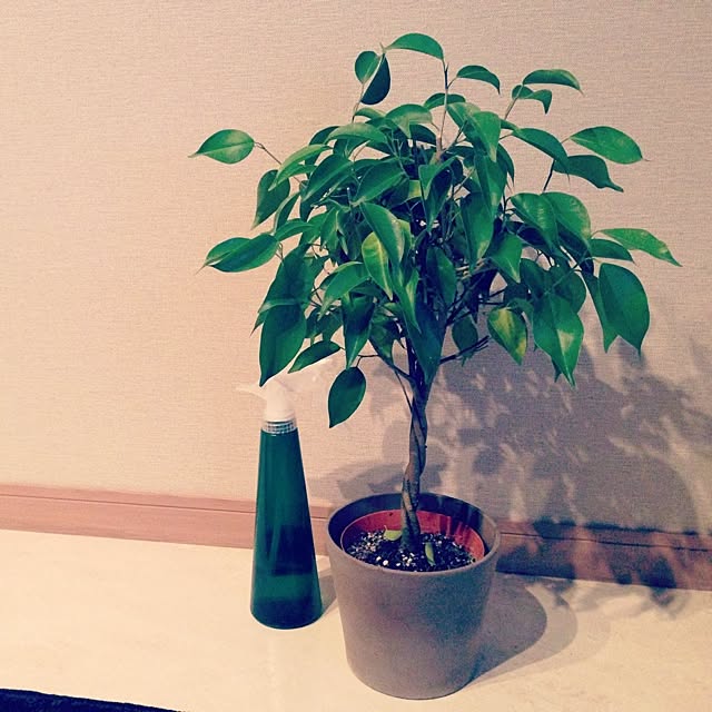 yuma_1206さんの実例写真