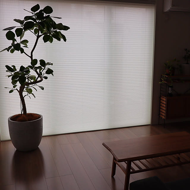 kamukamu_clipさんの実例写真
