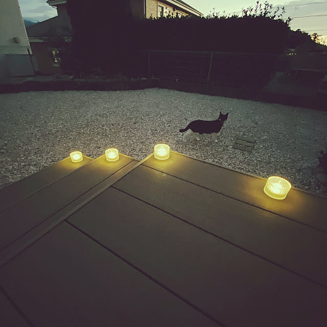 moolさんの実例写真