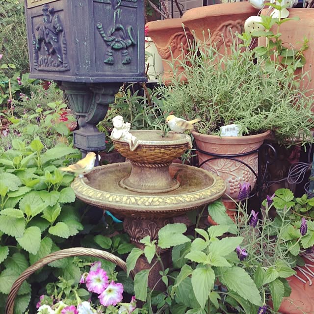 lavender_roseさんの実例写真