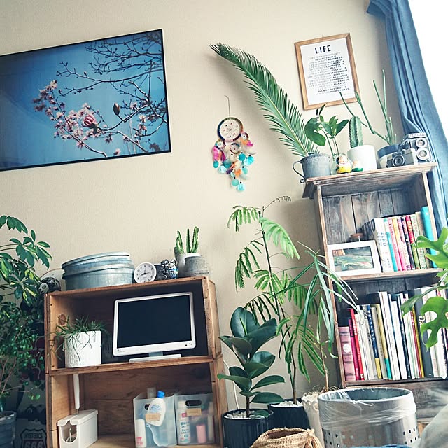 mx_xmさんの実例写真