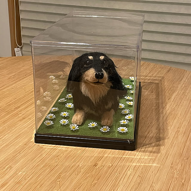 KCFSARさんの実例写真