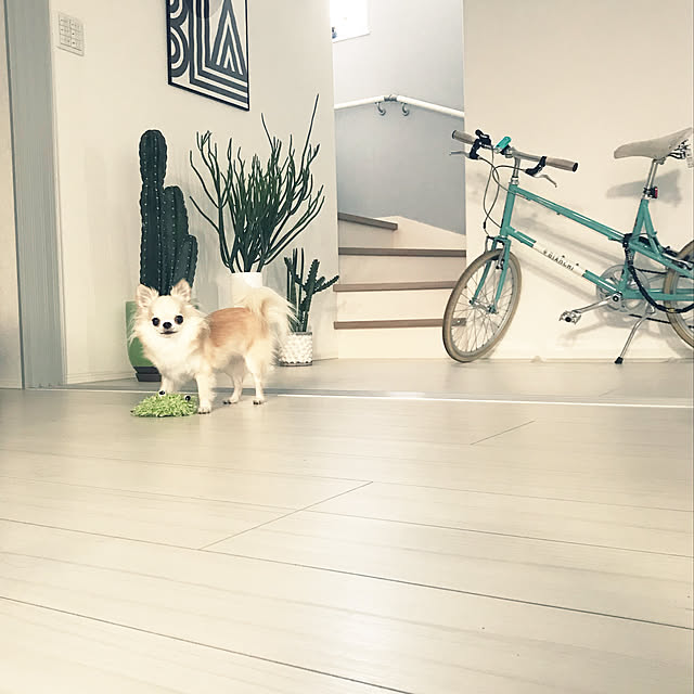 Mihocoさんの実例写真