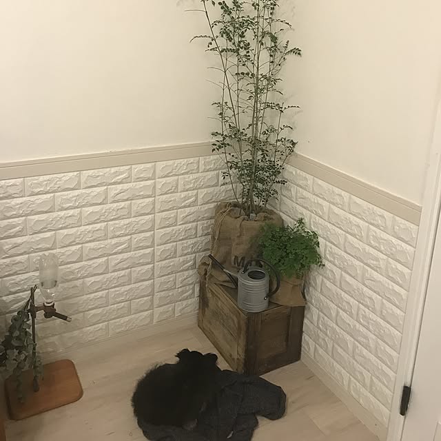 naonanahinaさんの実例写真
