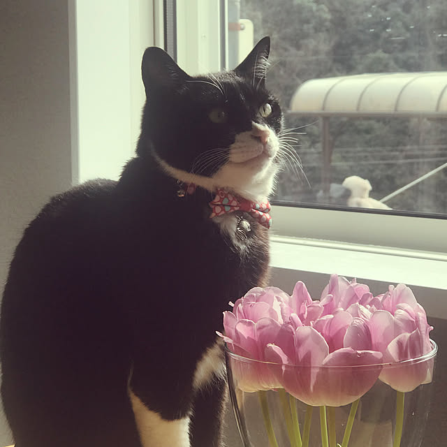 mtkさんの実例写真