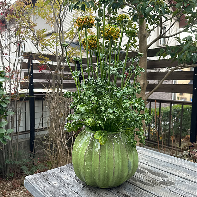 nyanko-beamさんの部屋