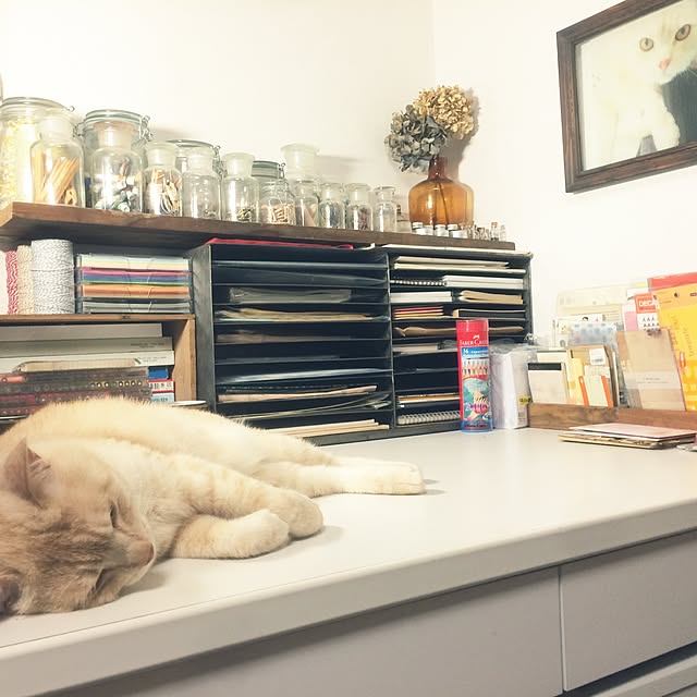 38kinokoさんの実例写真
