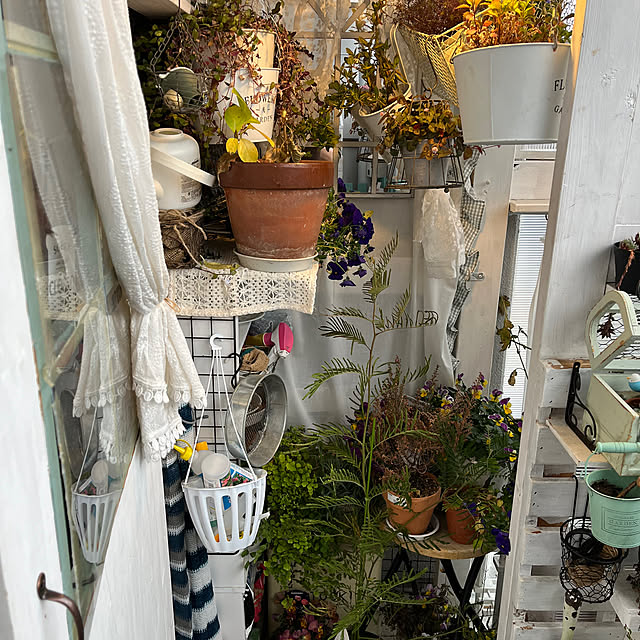 Atsukoさんの部屋