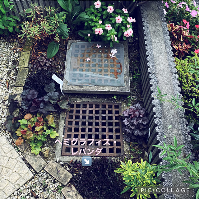 yukarin-gardenさんの実例写真
