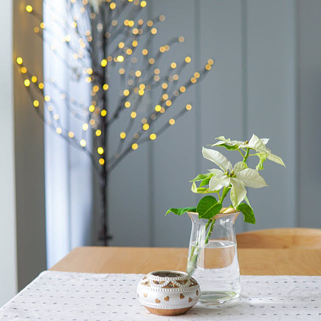 Saraさんの実例写真