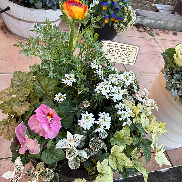 leepo5さんの部屋