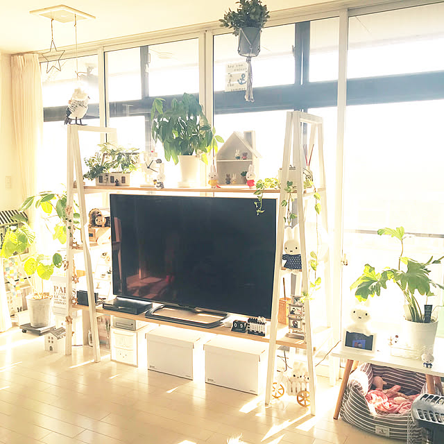 moeさんの実例写真