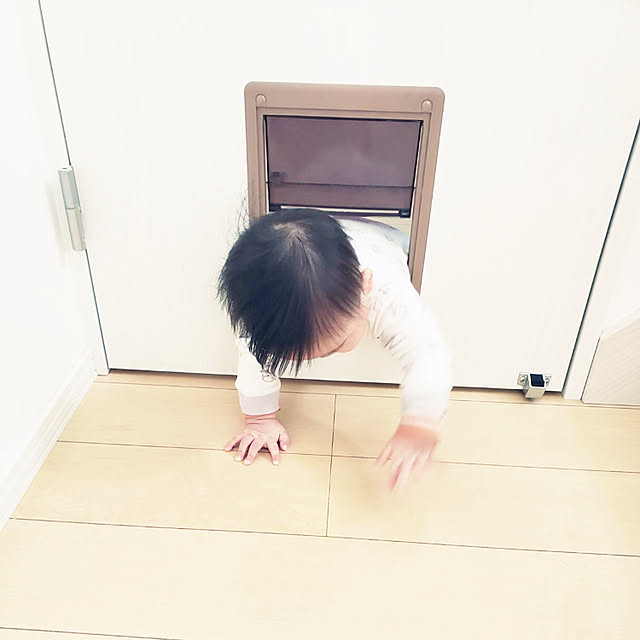 ベッド周りのインテリア実例 - 2022-07-18 23:29:52