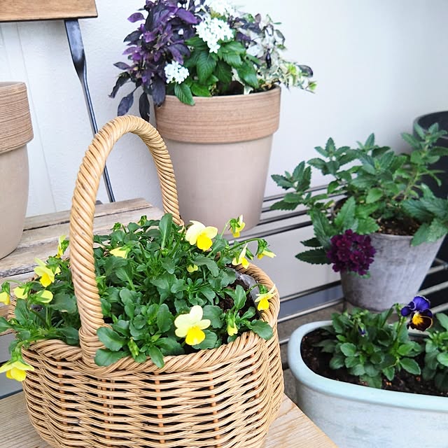 kerochanさんの部屋