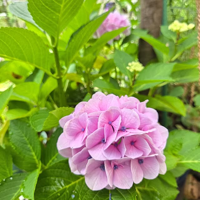 min_nimさんの部屋