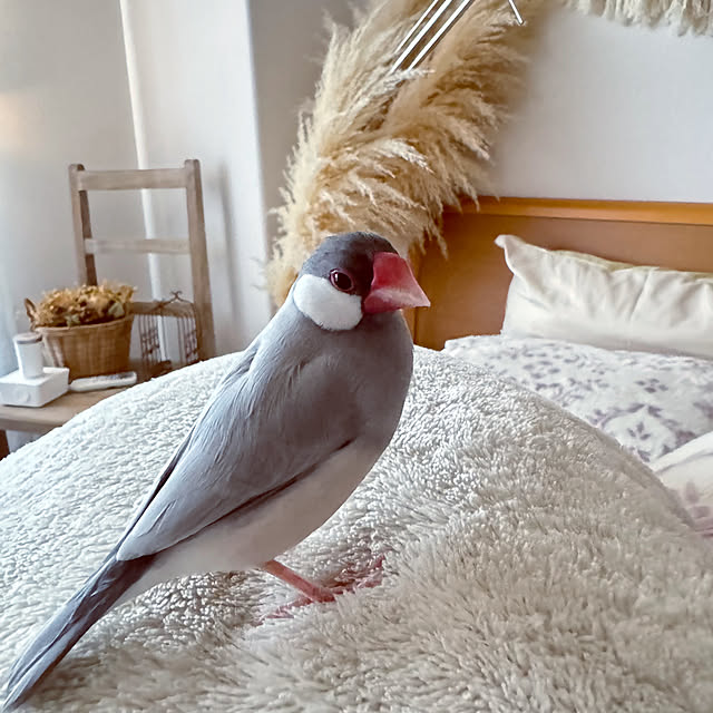 Tenさんの実例写真