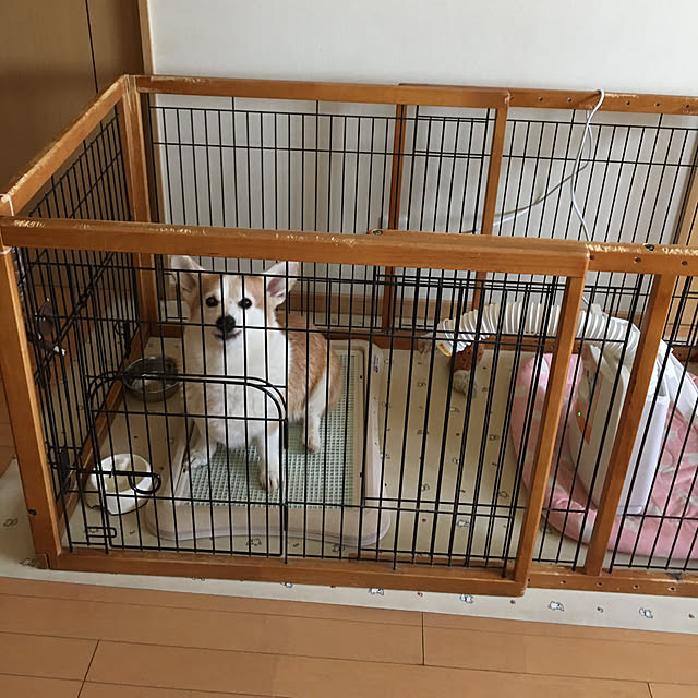 akoさんの実例写真