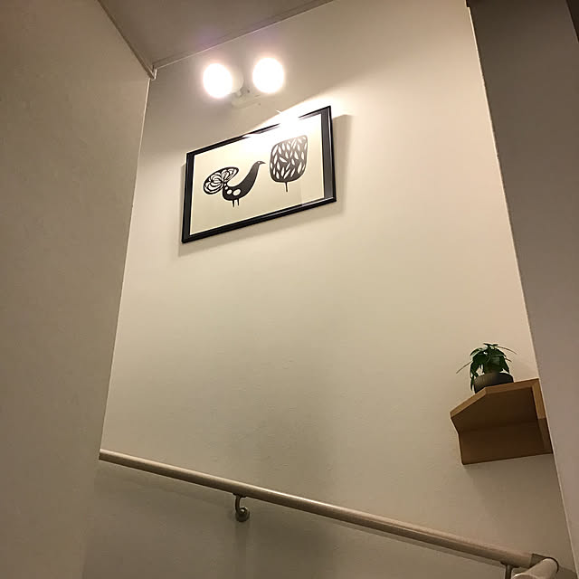 konatuさんの実例写真
