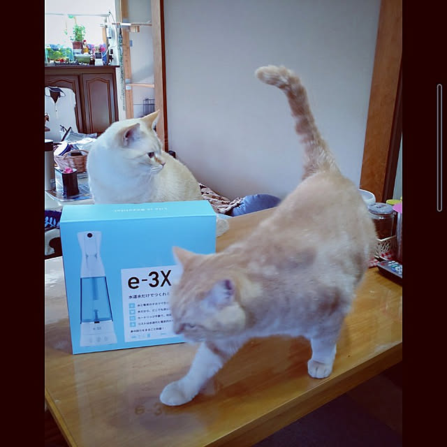 mntcさんの実例写真