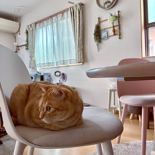 chiiさんの部屋