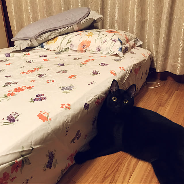 Loveupinto74ersさんの実例写真