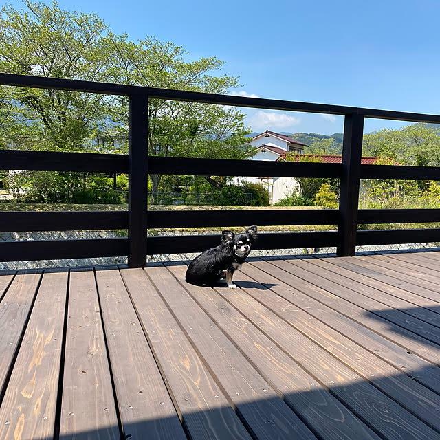 kazumi_yさんの実例写真