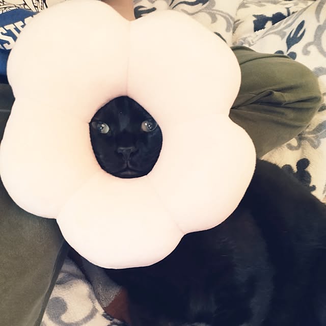 Tさんの実例写真