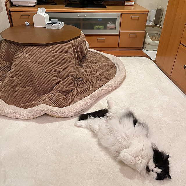 reonさんの部屋