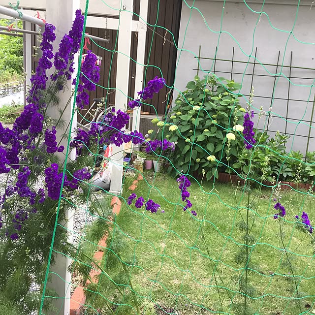 marukoさんの実例写真