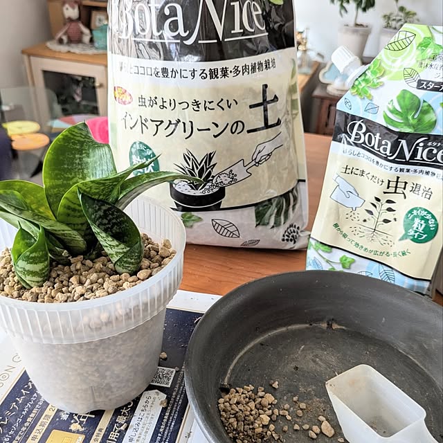 mi-saさんの部屋