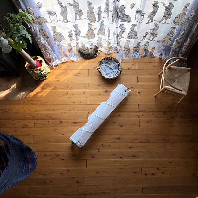 akaneさんの実例写真