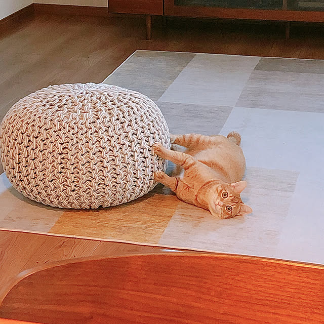 reo..m.aさんの実例写真