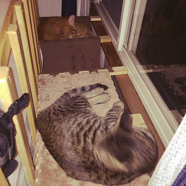 Yuさんの実例写真