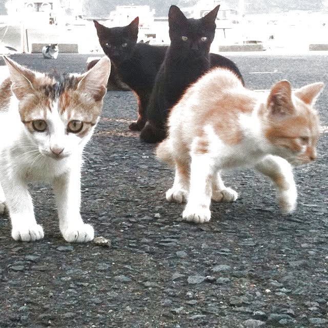 mobiri57さんの実例写真