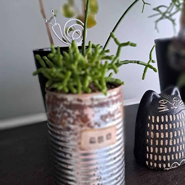 noaさんの部屋