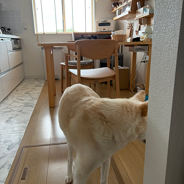 tanboさんの部屋