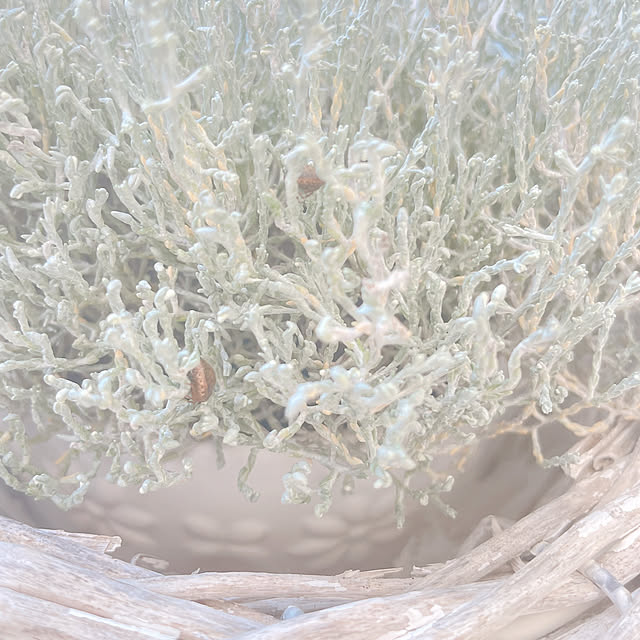 akiko-ovさんの部屋