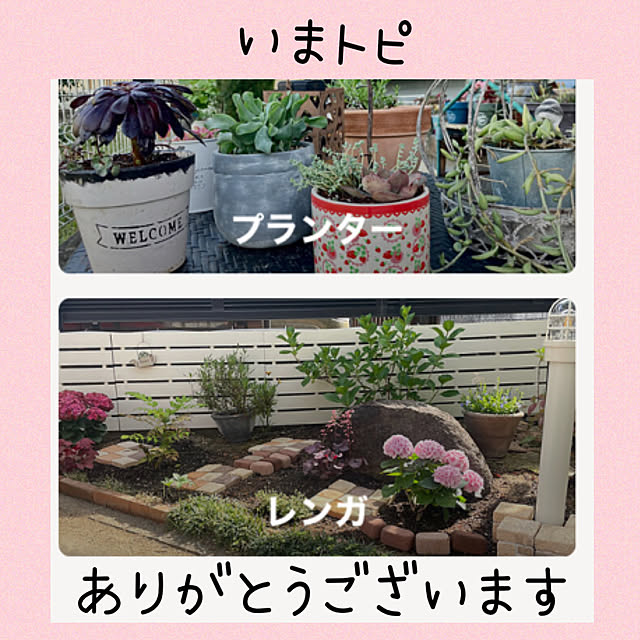 kuikoさんの実例写真