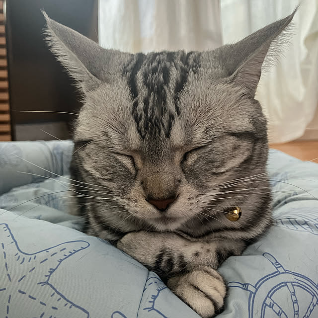 wahahaさんの実例写真