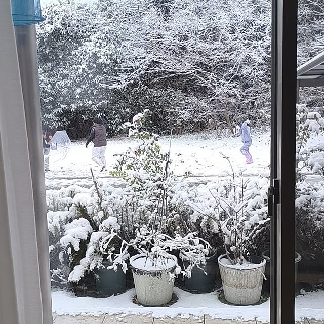 miharunさんの部屋