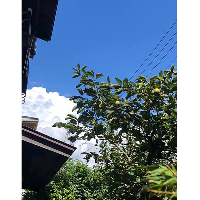 riettaさんの実例写真