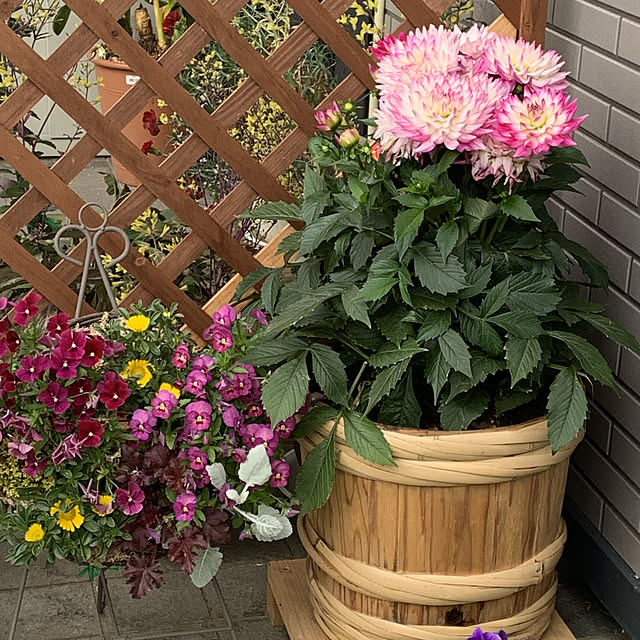 Toruさんの実例写真