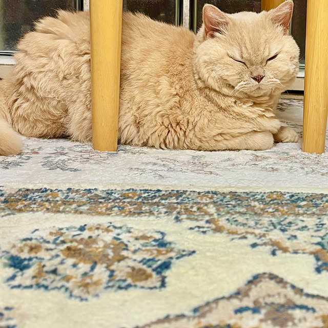 naokoさんの部屋
