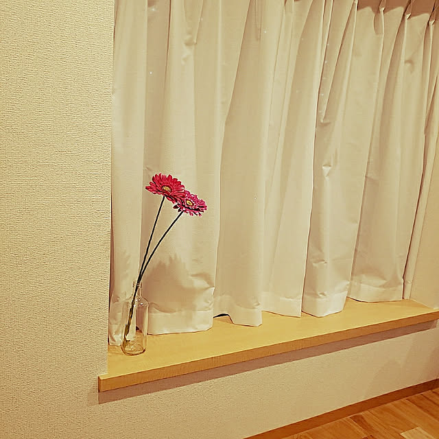 sanoaさんの実例写真