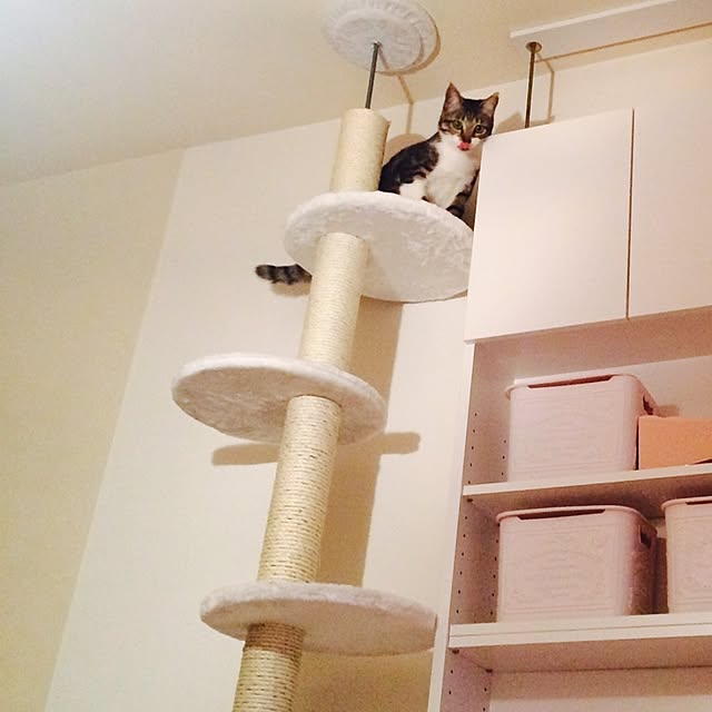 Yさんの実例写真