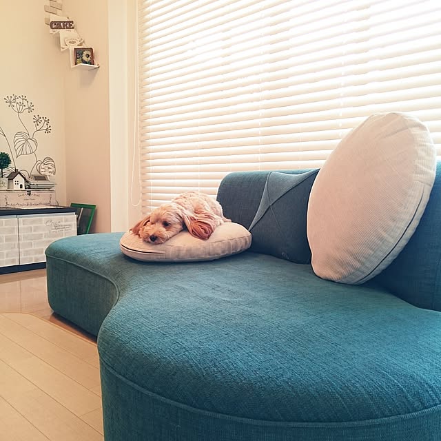 mi-さんの実例写真