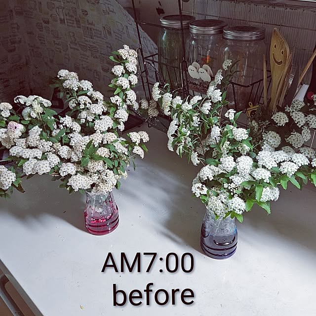 mocomocoさんの部屋