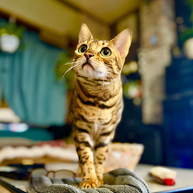 tututu0204さんの部屋