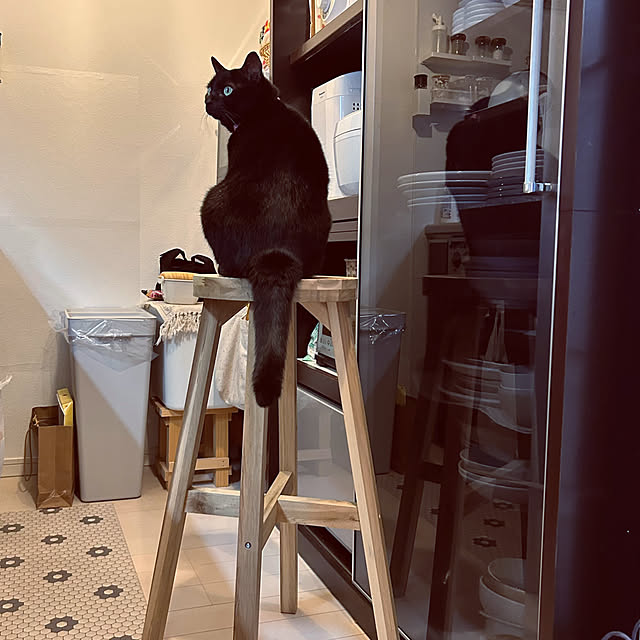 nekomiさんの実例写真
